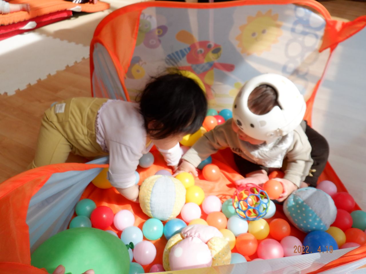 DSCF8045  0歳児